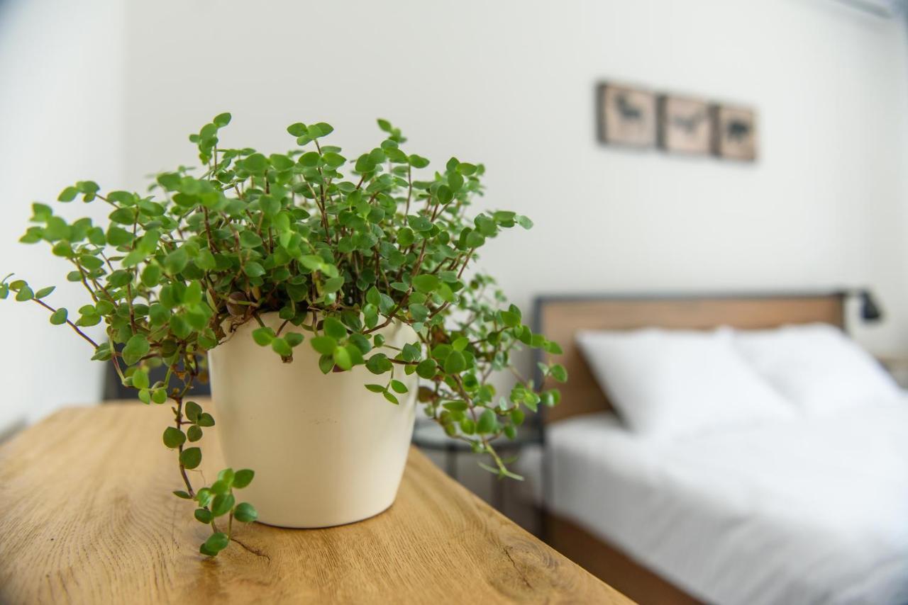 Tamtam Urban Aparthotel Cluj-Napoca Ngoại thất bức ảnh